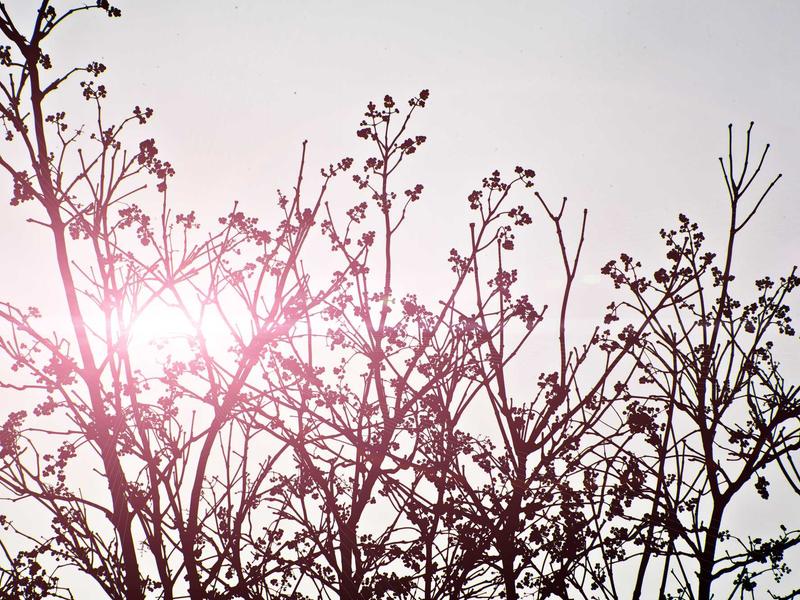 sudoku time killer screenshot 6